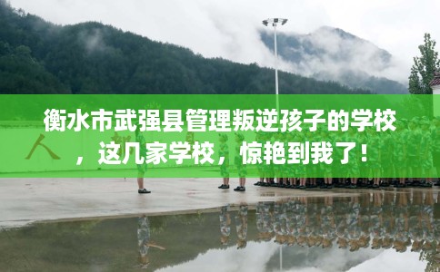 衡水市武强县管理叛逆孩子的学校，这几家学校，惊艳到我了！