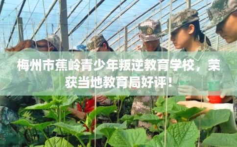 梅州市蕉岭青少年叛逆教育学校，荣获当地教育局好评！