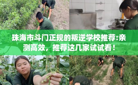 珠海市斗门正规的叛逆学校推荐:亲测高效,推荐这几家试试看! 珠海市斗门正规的叛逆学校推荐:亲测高效,推荐这几家试试看!