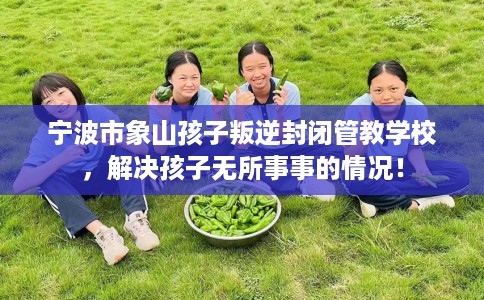 宁波市象山孩子叛逆封闭管教学校,解决孩子无所事事的情况! 宁波市象山孩子叛逆封闭管教学校,解决孩子无所事事的情况!