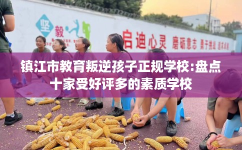 镇江市教育叛逆孩子正规学校:盘点十家受好评多的素质学校