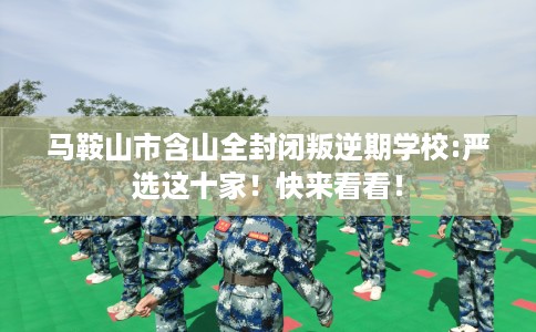 马鞍山市含山全封闭叛逆期学校:严选这十家!快来看看! 马鞍山市含山全封闭叛逆期学校:严选这十家!快来看看!