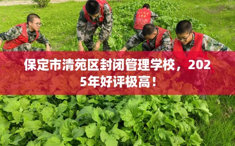 保定市清苑区封闭管理学校,2025年好评极高! 保定市清苑区封闭管理学校,2025年好评极高!
