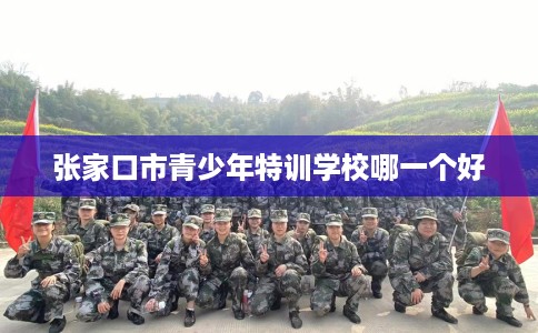 张家口市青少年特训学校哪一个好