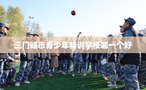 三门峡市青少年特训学校哪一个好