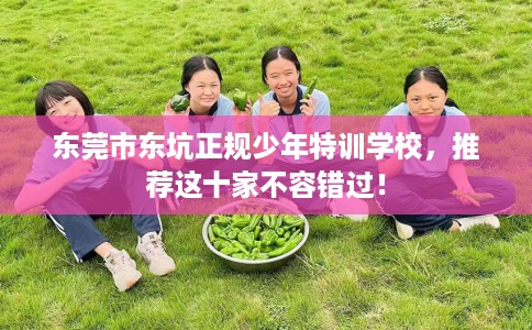 东莞市东坑正规少年特训学校,推荐这十家不容错过! 东莞市东坑正规少年特训学校,推荐这十家不容错过!