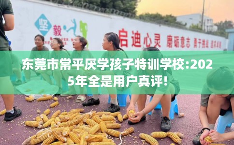 东莞市常平厌学孩子特训学校:2025年全是用户真评!