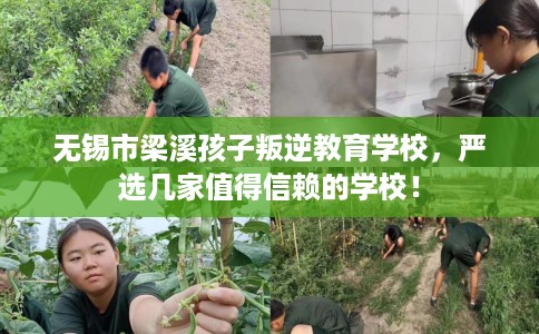 无锡市梁溪孩子叛逆教育学校,严选几家值得信赖的学校! 无锡市梁溪孩子叛逆教育学校,严选几家值得信赖的学校!
