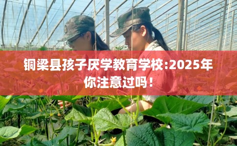 铜梁县孩子厌学教育学校:2025年你注意过吗! 铜梁县孩子厌学教育学校:2025年你注意过吗!