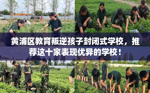 黄浦区教育叛逆孩子封闭式学校,推荐这十家表现优异的学校! 黄浦区教育叛逆孩子封闭式学校,推荐这十家表现优异的学校!