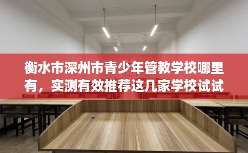 衡水市深州市青少年管教学校哪里有，实测有效推荐这几家学校试试看！