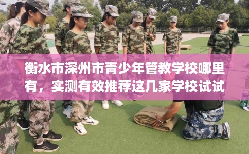 衡水市深州市青少年管教学校哪里有，实测有效推荐这几家学校试试看！