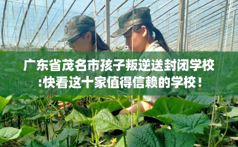 广东省茂名市孩子叛逆送封闭学校:快看这十家值得信赖的学校！