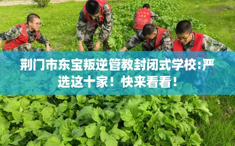 荆门市东宝叛逆管教封闭式学校:严选这十家!快来看看! 荆门市东宝叛逆管教封闭式学校:严选这十家!快来看看!