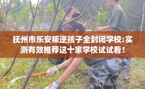 抚州市乐安叛逆孩子全封闭学校:实测有效推荐这十家学校试试看! 抚州市乐安叛逆孩子全封闭学校:实测有效推荐这十家学校试试看!