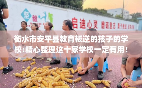 衡水市安平县教育叛逆的孩子的学校:精心整理这十家学校一定有用！