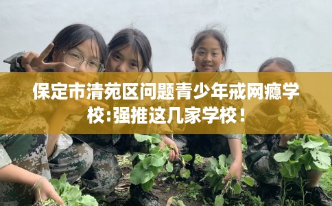 保定市清苑区问题青少年戒网瘾学校:强推这几家学校！