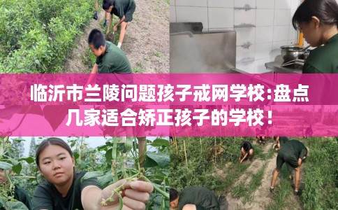 临沂市兰陵问题孩子戒网学校:盘点几家适合矫正孩子的学校！