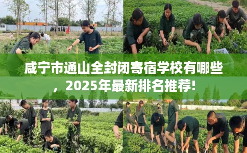 咸宁市通山全封闭寄宿学校有哪些，2025年最新排名推荐!