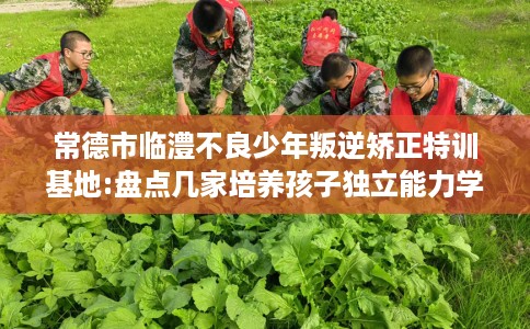 常德市临澧不良少年叛逆矫正特训基地:盘点几家培养孩子独立能力学校！