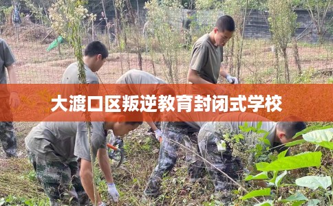 大渡口区叛逆教育封闭式学校