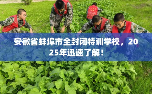 安徽省蚌埠市全封闭特训学校，2025年迅速了解！