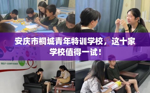 安庆市桐城青年特训学校，这十家学校值得一试！
