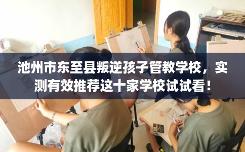 池州市东至县叛逆孩子管教学校，实测有效推荐这十家学校试试看！
