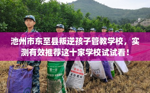 池州市东至县叛逆孩子管教学校，实测有效推荐这十家学校试试看！