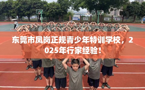 东莞市凤岗正规青少年特训学校，2025年行家经验！