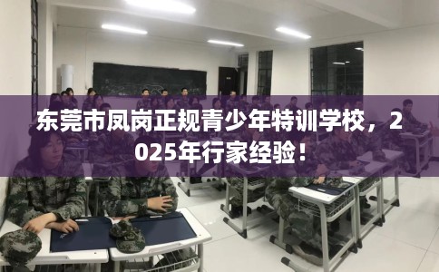 东莞市凤岗正规青少年特训学校，2025年行家经验！