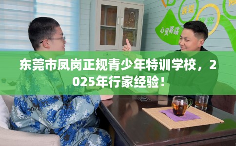 东莞市凤岗正规青少年特训学校，2025年行家经验！