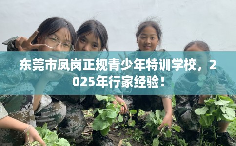 东莞市凤岗正规青少年特训学校，2025年行家经验！