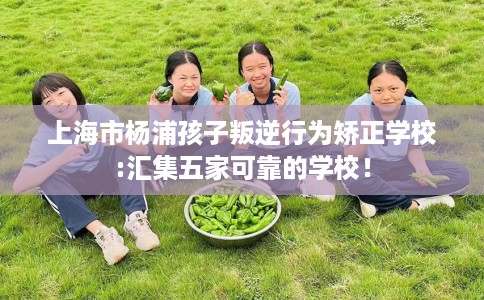 上海市杨浦孩子叛逆行为矫正学校:汇集五家可靠的学校！