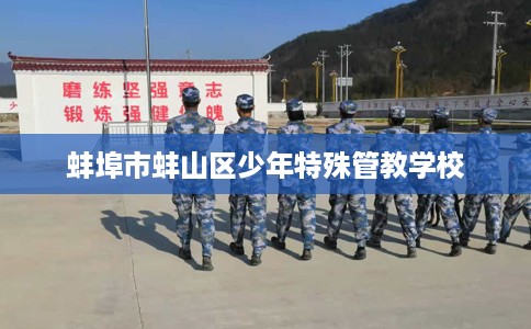 蚌埠市蚌山区少年特殊管教学校