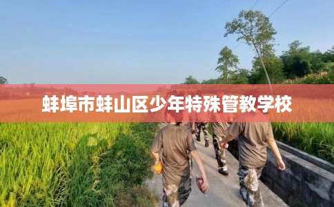 蚌埠市蚌山区少年特殊管教学校