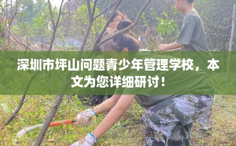 深圳市坪山问题青少年管理学校，本文为您详细研讨！