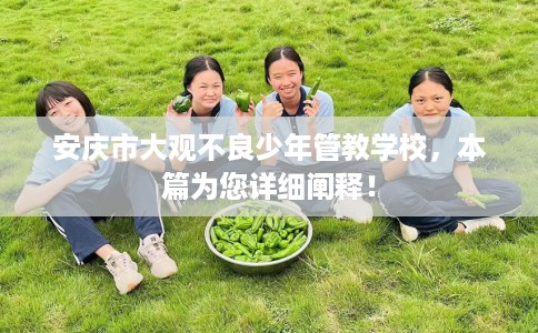 安庆市大观不良少年管教学校，本篇为您详细阐释！