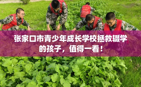 张家口市青少年成长学校拯救辍学的孩子,值得一看! 张家口市青少年成长学校拯救辍学的孩子,值得一看!
