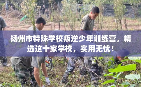 扬州市特殊学校叛逆少年训练营，精选这十家学校，实用无忧！