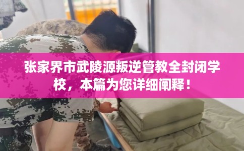 张家界市武陵源叛逆管教全封闭学校，本篇为您详细阐释！