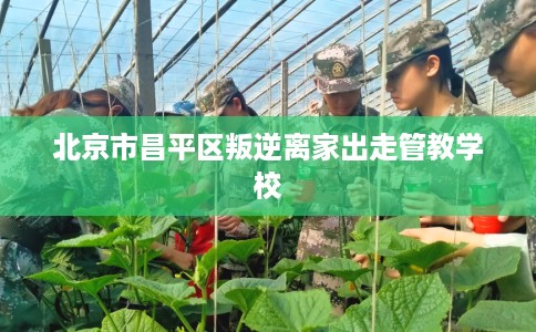 北京市昌平区叛逆离家出走管教学校 北京市昌平区叛逆离家出走管教学校