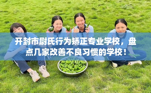 开封市尉氏行为矫正专业学校，盘点几家改善不良习惯的学校！