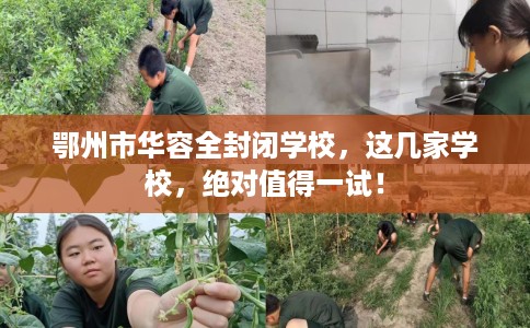 鄂州市华容全封闭学校,这几家学校,绝对值得一试! 鄂州市华容全封闭学校,这几家学校,绝对值得一试!