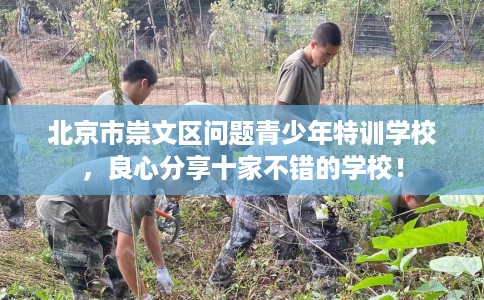 北京市崇文区问题青少年特训学校，良心分享十家不错的学校！