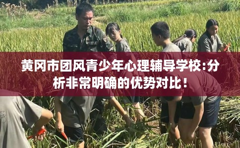 黄冈市团风青少年心理辅导学校:分析非常明确的优势对比! 黄冈市团风青少年心理辅导学校:分析非常明确的优势对比!