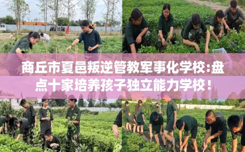 商丘市夏邑叛逆管教军事化学校:盘点十家培养孩子独立能力学校！