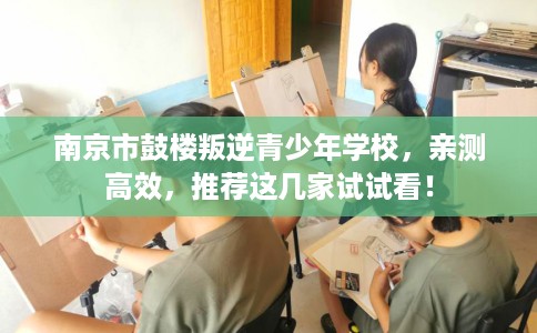 南京市鼓楼叛逆青少年学校，亲测高效，推荐这几家试试看！
