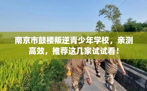 南京市鼓楼叛逆青少年学校，亲测高效，推荐这几家试试看！