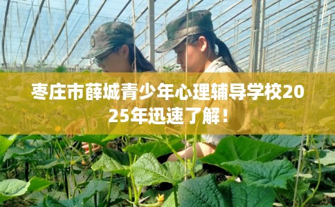 枣庄市薛城青少年心理辅导学校2025年迅速了解! 枣庄市薛城青少年心理辅导学校2025年迅速了解!